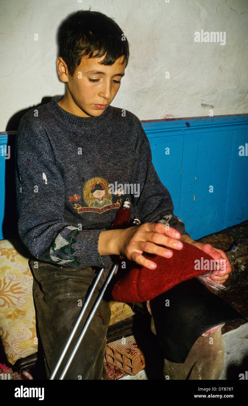 Jeune garçon se prépare à utiliser deux metal 'chardons' pour comb l'excédent d'une chechia (hat) avant d'être prêt pour la vente. Banque D'Images
