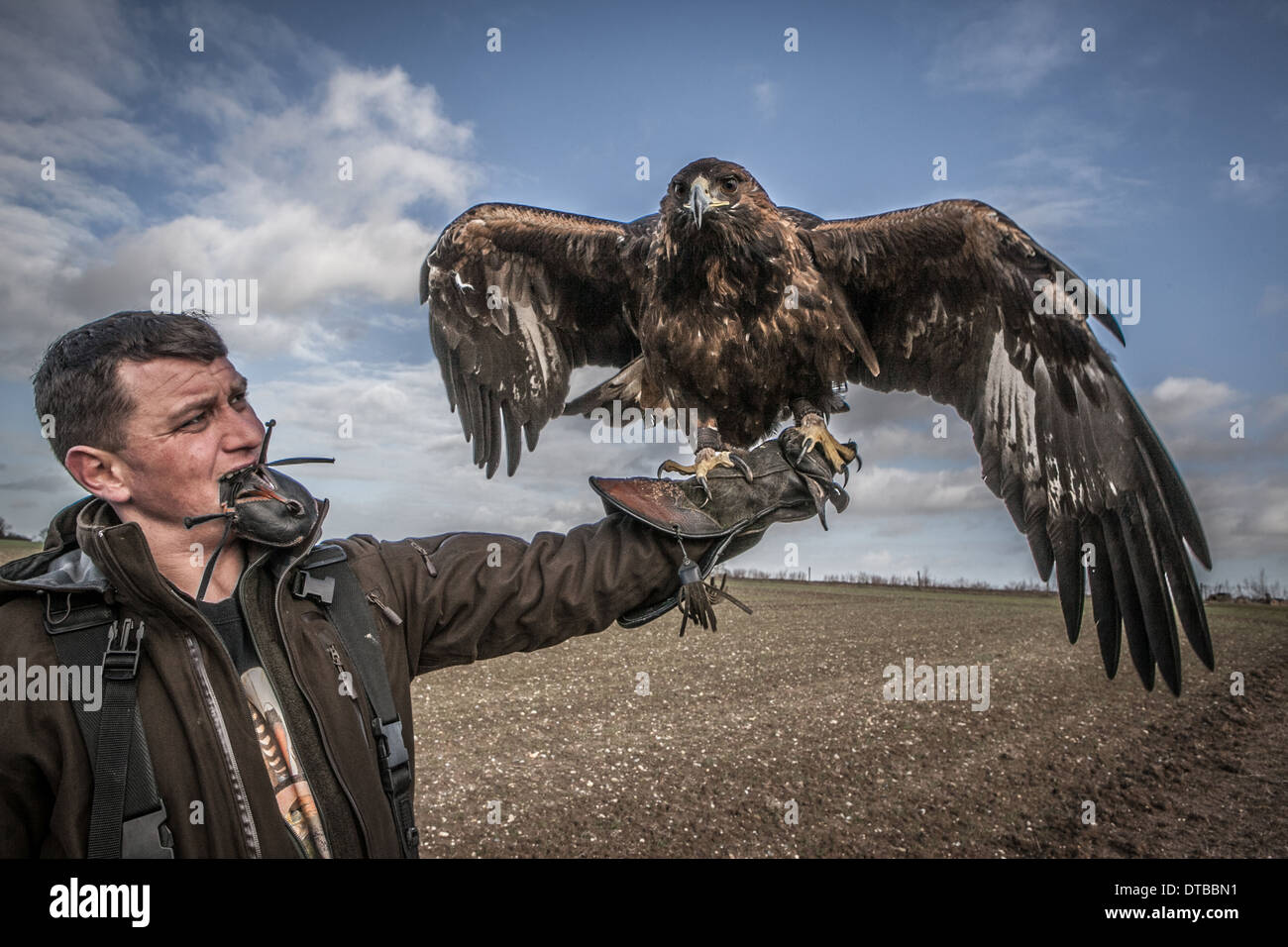 L'homme de la chasse avec un Aigle royal Photo Stock - Alamy