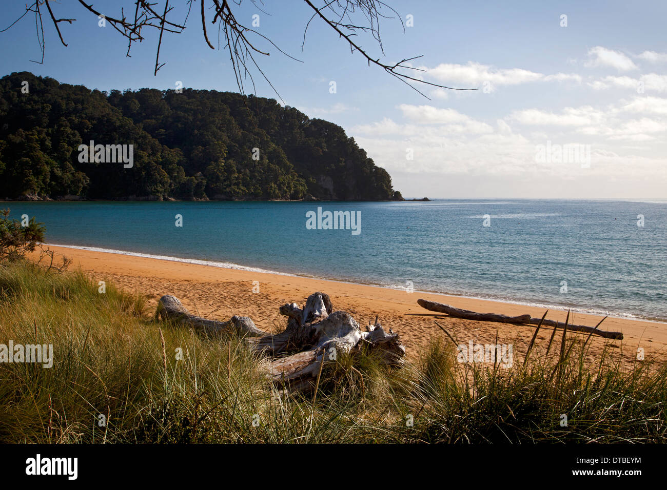 Totaranui beach, parc national d'Abel Tasman, île du Sud, Nouvelle-Zélande Banque D'Images