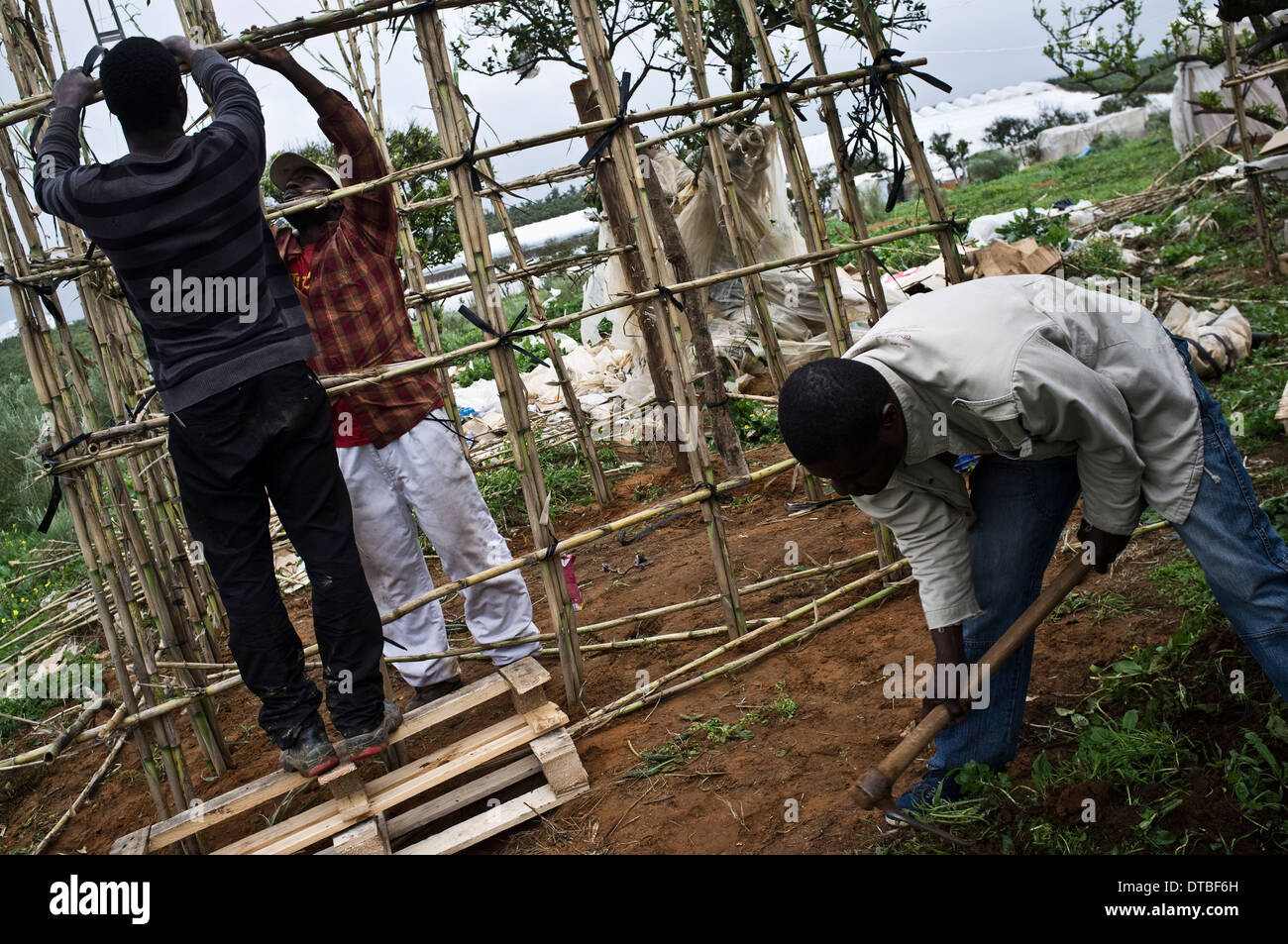 Les immigrants africains vivent dans des huttes en plastique dans un bidonville camping sur Lepe, Huelva, Espagne, en attente pour l'emploi dans les plantations fruitières. Banque D'Images