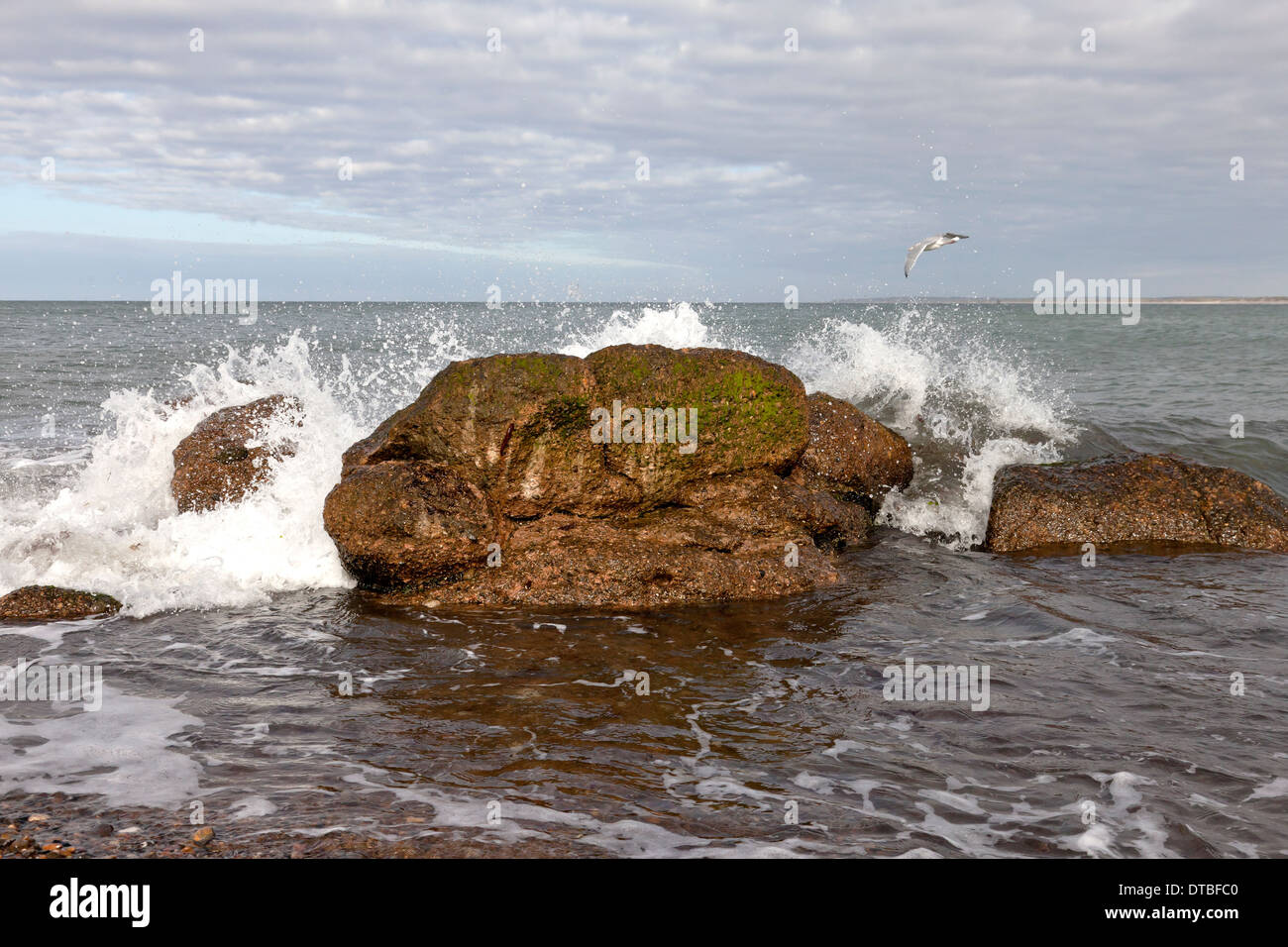 Vague se brisant sur un gros rocher sur la côte de la presqu'île dans ton Danemark Banque D'Images