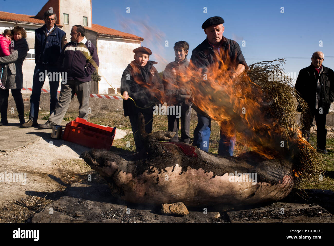 L'abattage de porcs en Villaseco de los Gamitos, Espagne. l'abattage tuant matanza espagnol cerdo Banque D'Images