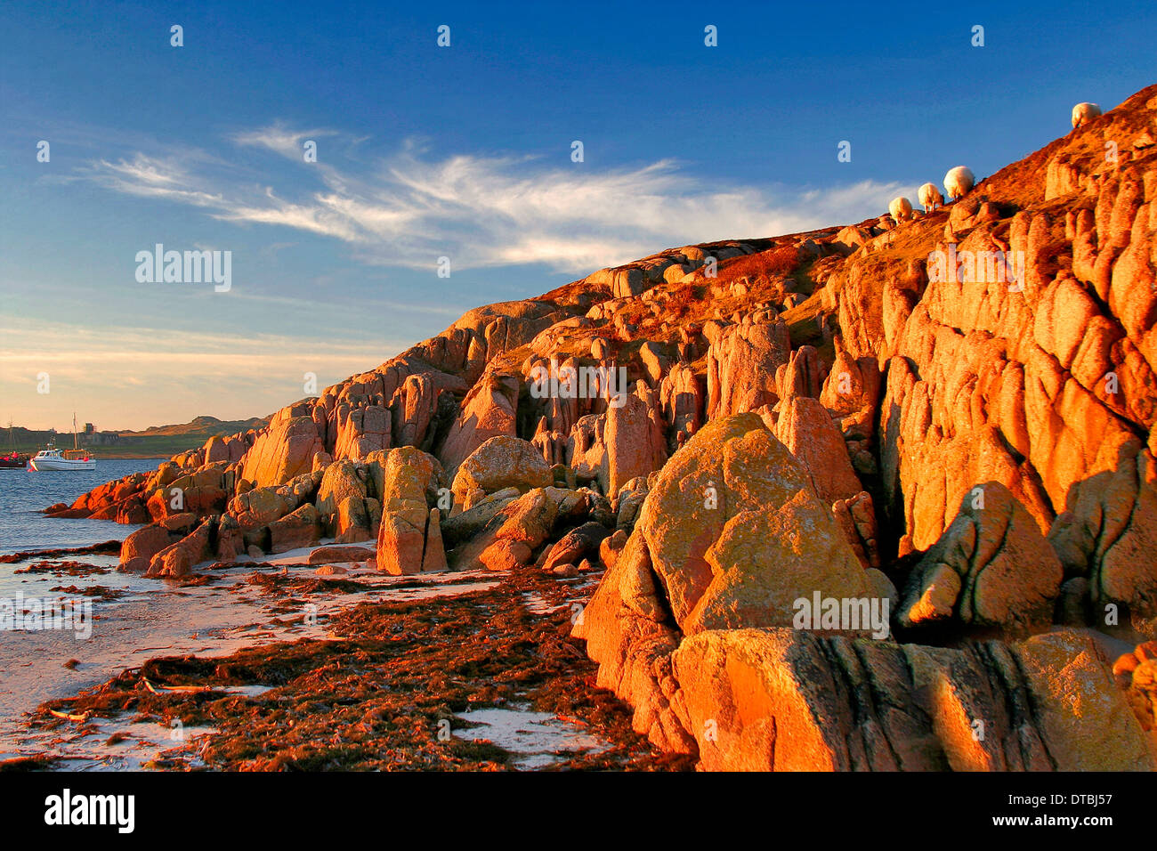 Coucher du soleil sur les rochers de granit couleurs Rivage à Fionnophort village, Son de l'île de Mull, Iona, Ecosse, Grande-Bretagne, Royaume-Uni Banque D'Images