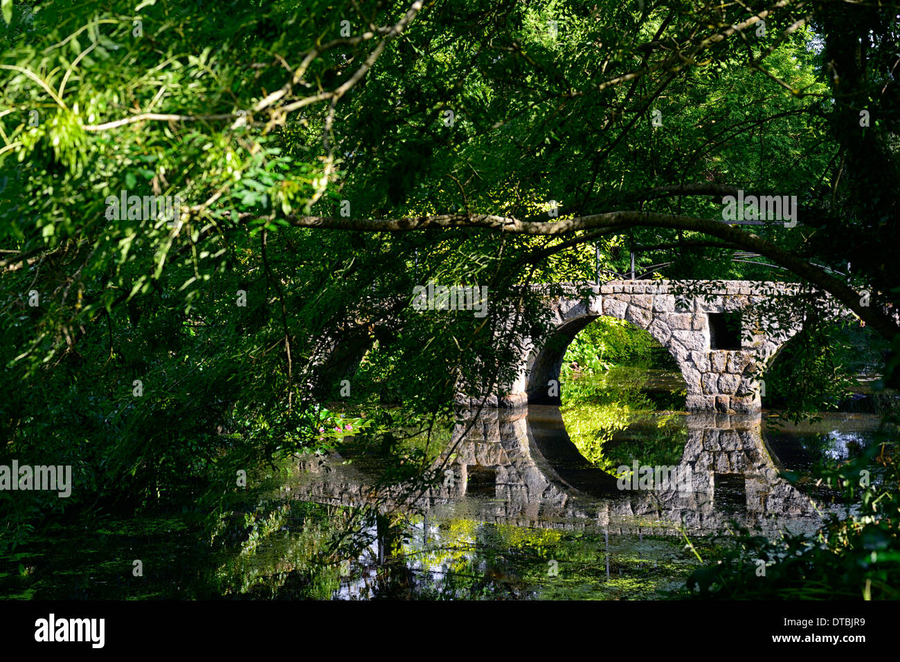 Pont en arc de pierre reflète parfaitement encadrée cadre arbre branche conifer étang lake altamont gardens carlow Banque D'Images