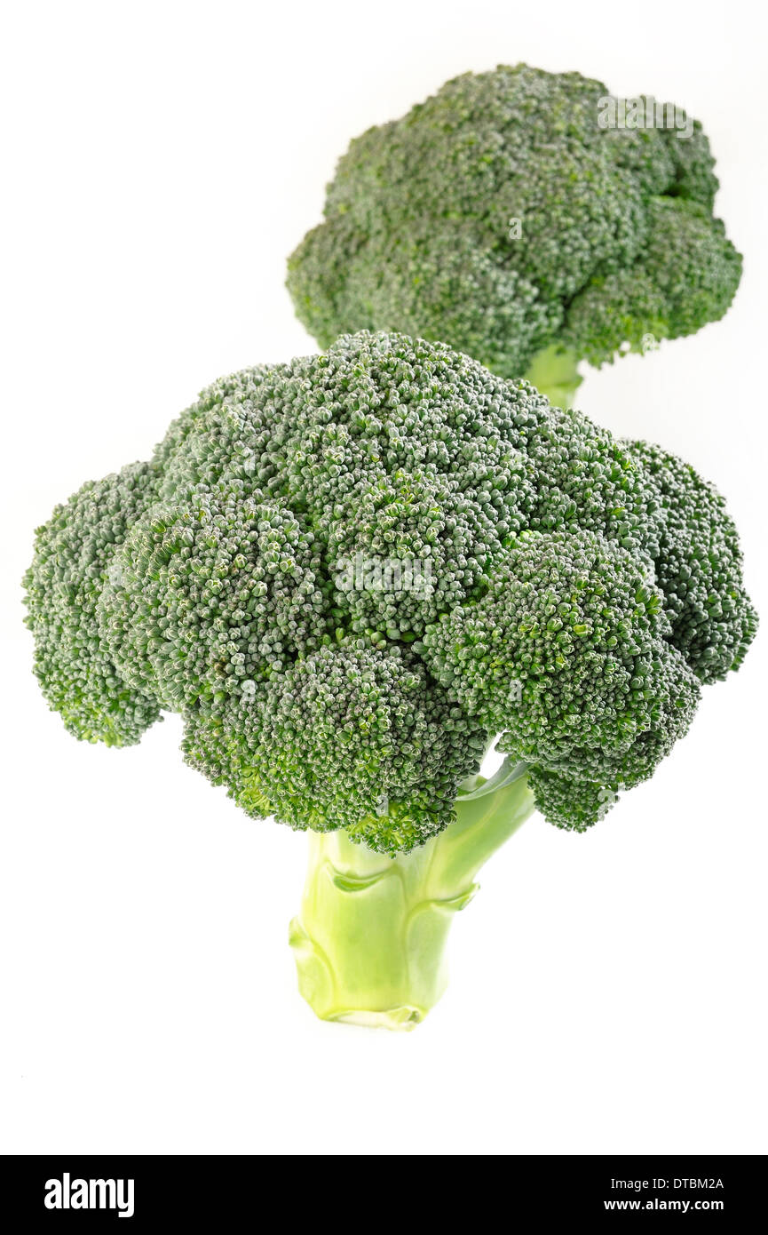 Légumes brocoli sur fond blanc Banque D'Images