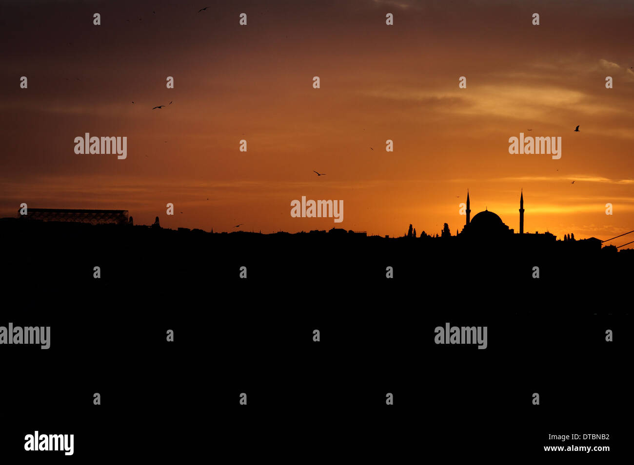 Silhouette de la Mosquée Fatih au coucher du soleil Banque D'Images