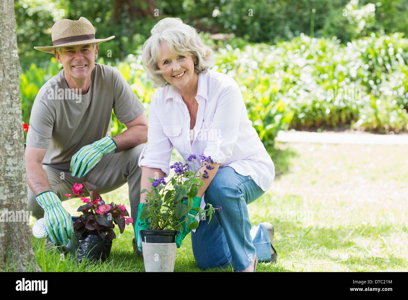 Mature couple engaged in gardening Banque D'Images