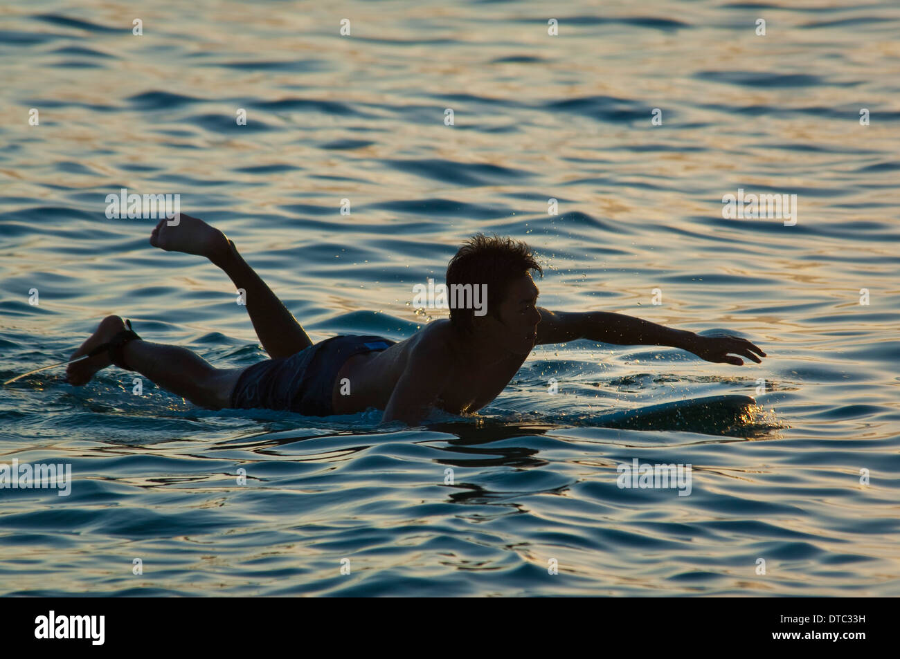Surfeurs de la plage de Waikiki, Honolulu, Oahu, Hawaii Banque D'Images