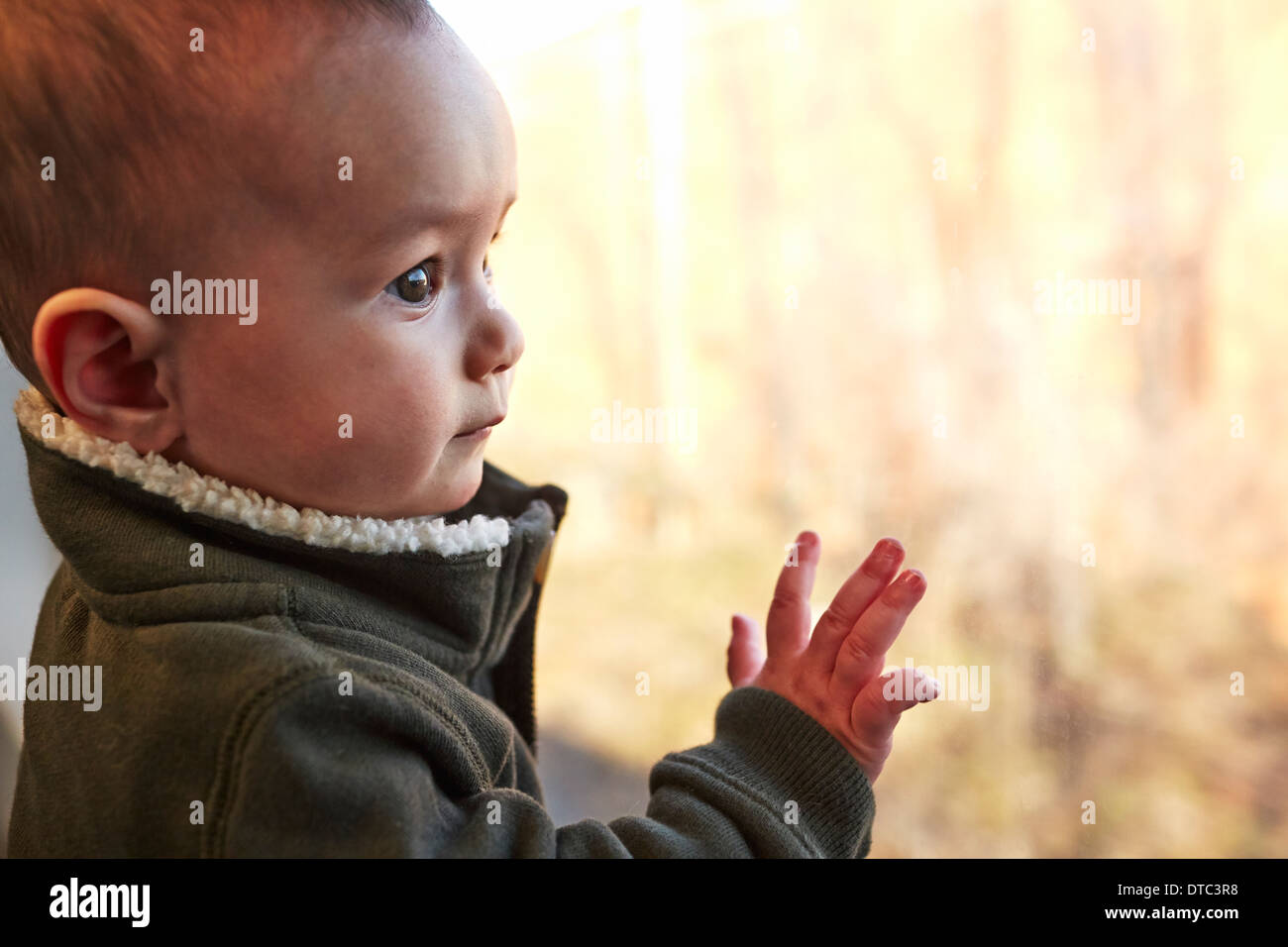 Close up of baby boy looking out of window Banque D'Images