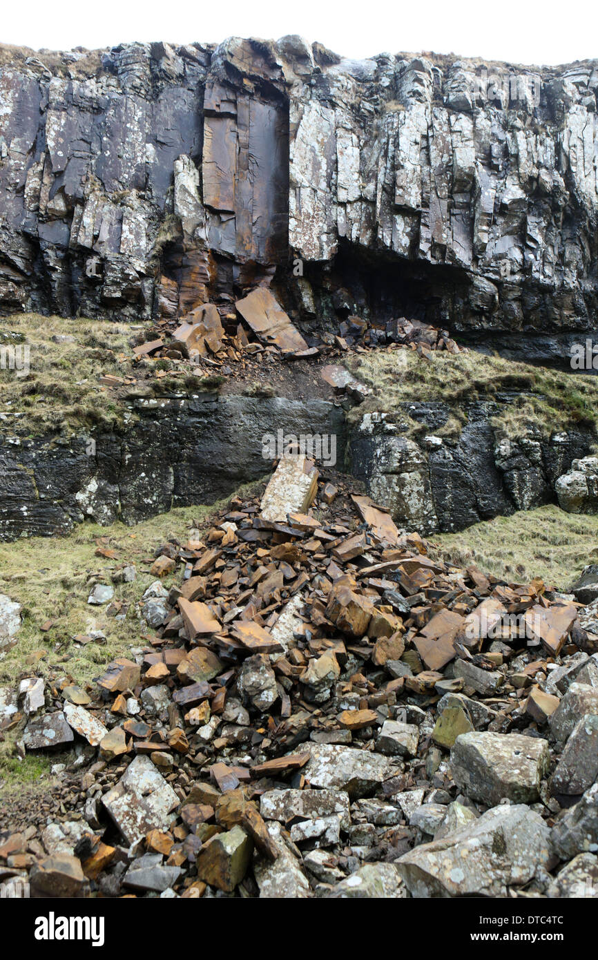 La chute de roches au lit de feuilles fossiles à Ardtun sur l'île de Mull Banque D'Images