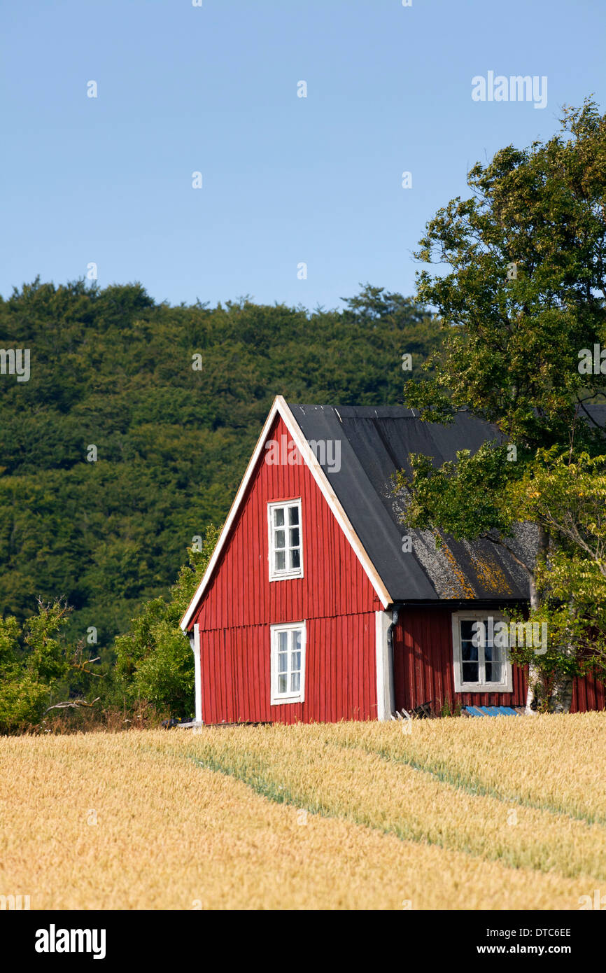 Traditionnel chalet en bois rouge solitaire le long de l'été sur le terrain dans les régions rurales de Skåne / Scania, la Suède, Scandinavie Banque D'Images