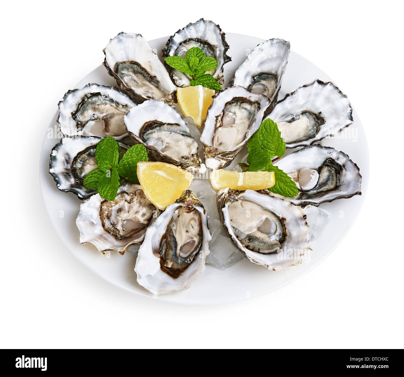 Douzaine d'huîtres sur plaque blanche avec de la glace et citron isolé sur fond blanc Banque D'Images