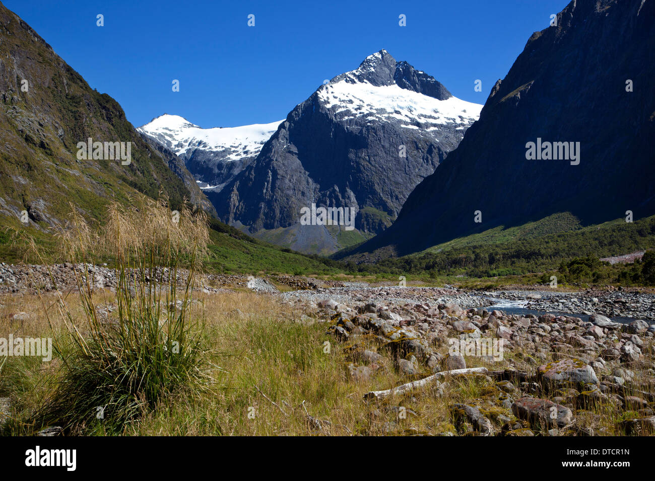 Afficher le long de la rivière vers le Mont Christina sur route pour Milford Sound, Fiordland, île du Sud, Nouvelle-Zélande Banque D'Images