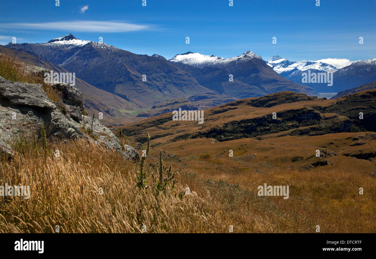 Vue vers Mount Aspiring près de Wanaka, île du Sud, Nouvelle-Zélande Banque D'Images