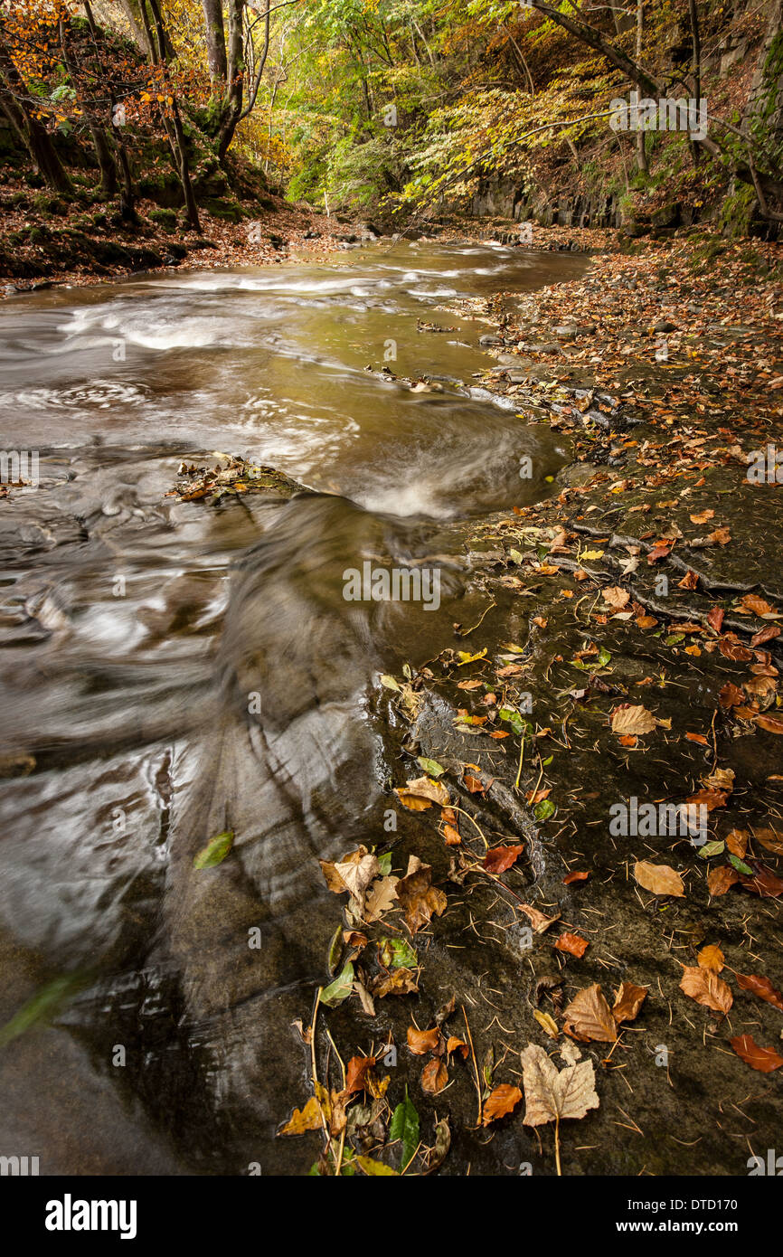 Bowlee Beck aux couleurs de l'automne, la région de Teesdale, Angleterre Banque D'Images