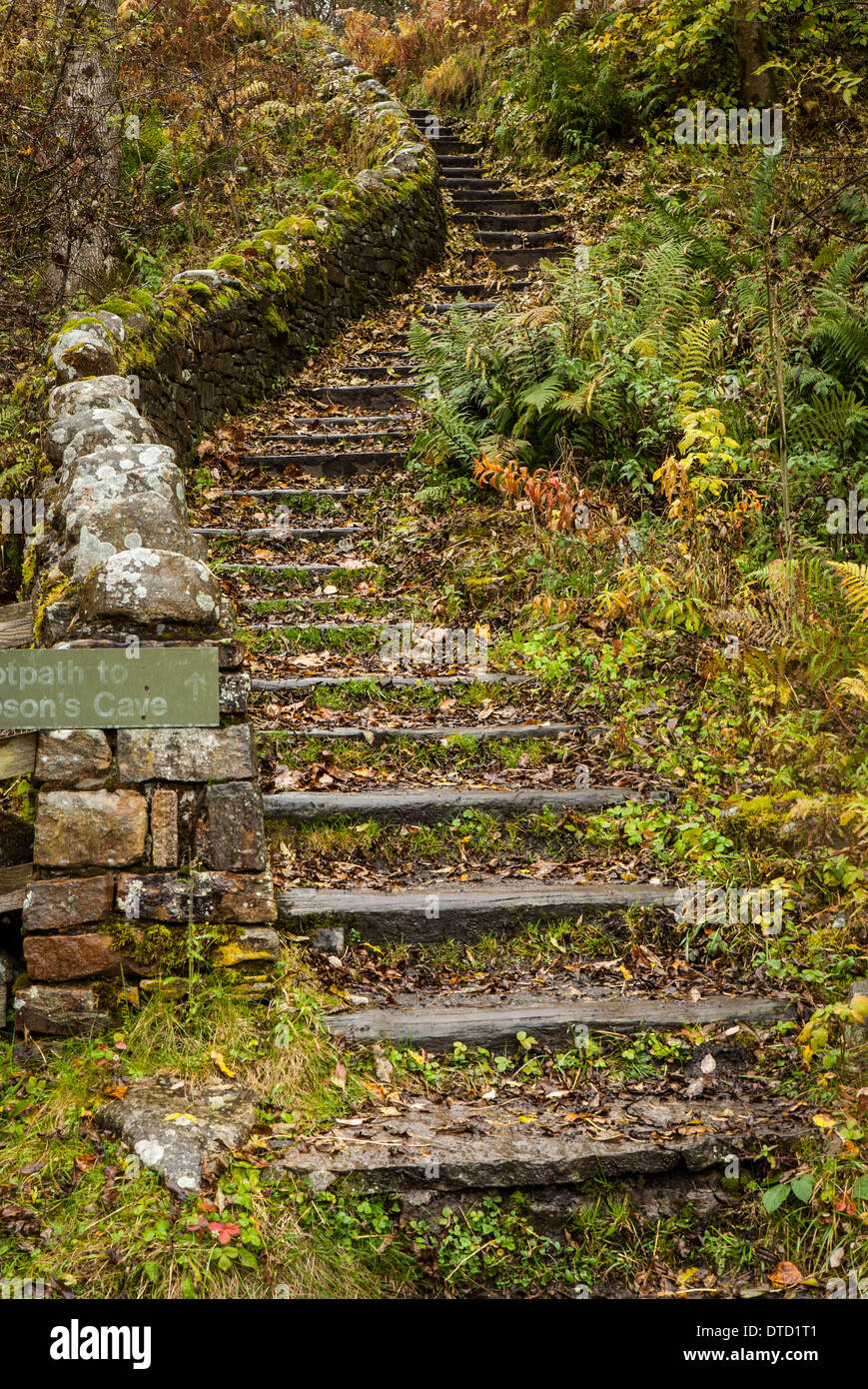 Escalier et couleurs d'automne à Bowlees réserve naturelle, la région de Teesdale, Angleterre Banque D'Images