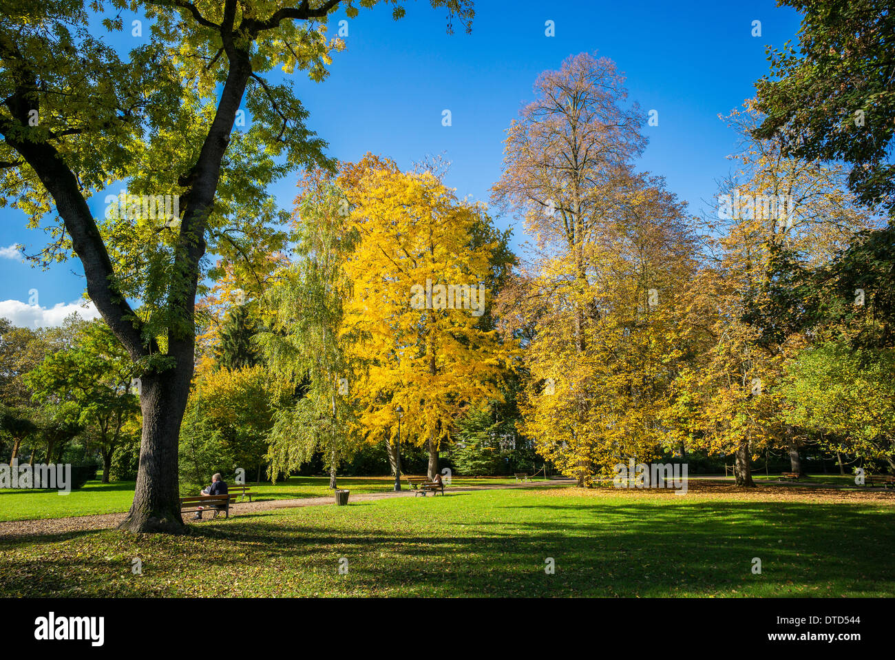 Le parc de l'orangerie en automne Strasbourg Alsace France Banque D'Images