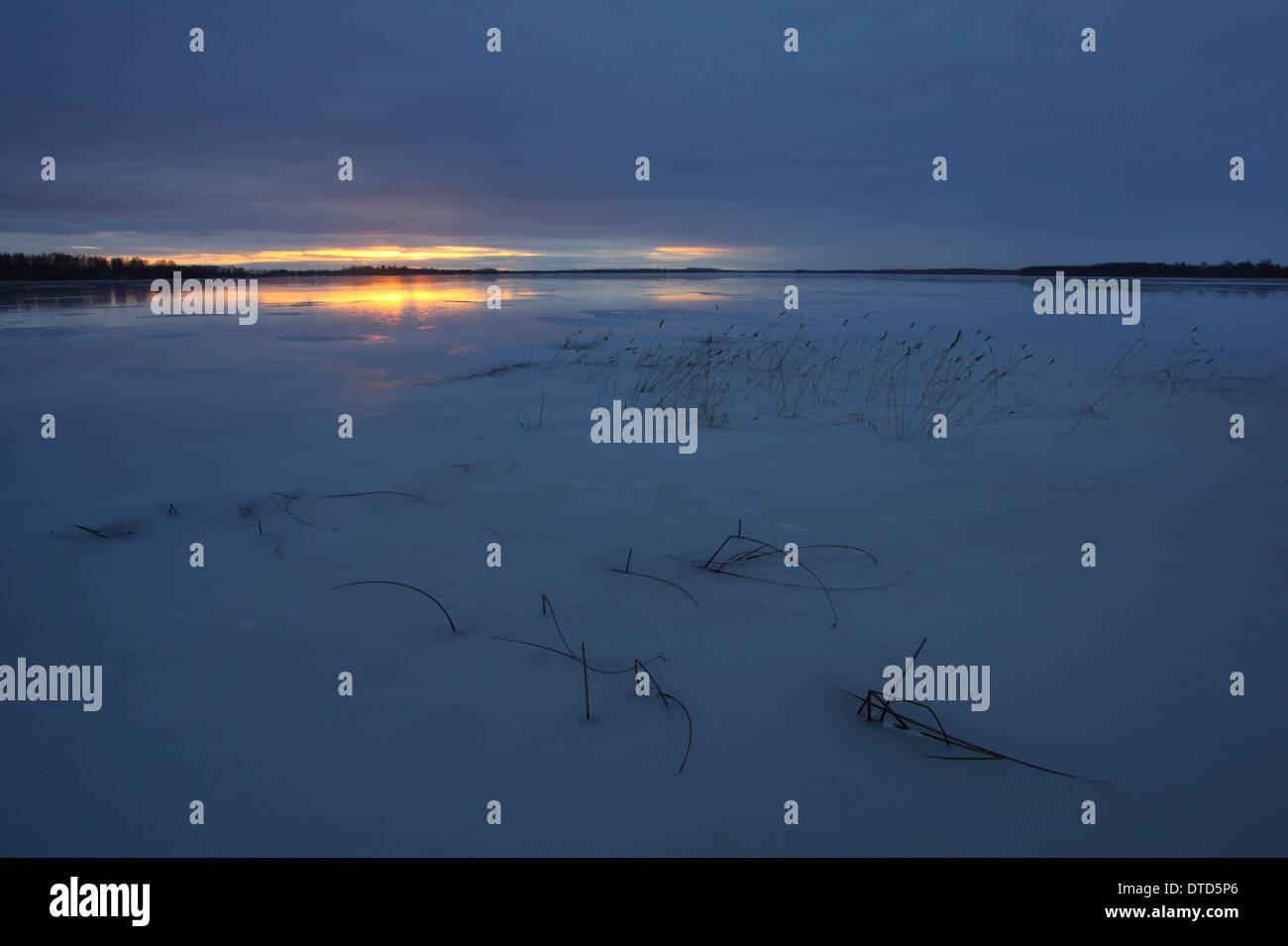 Lake Saadjärv en hiver au coucher du soleil. L'Estonie, Europe Banque D'Images