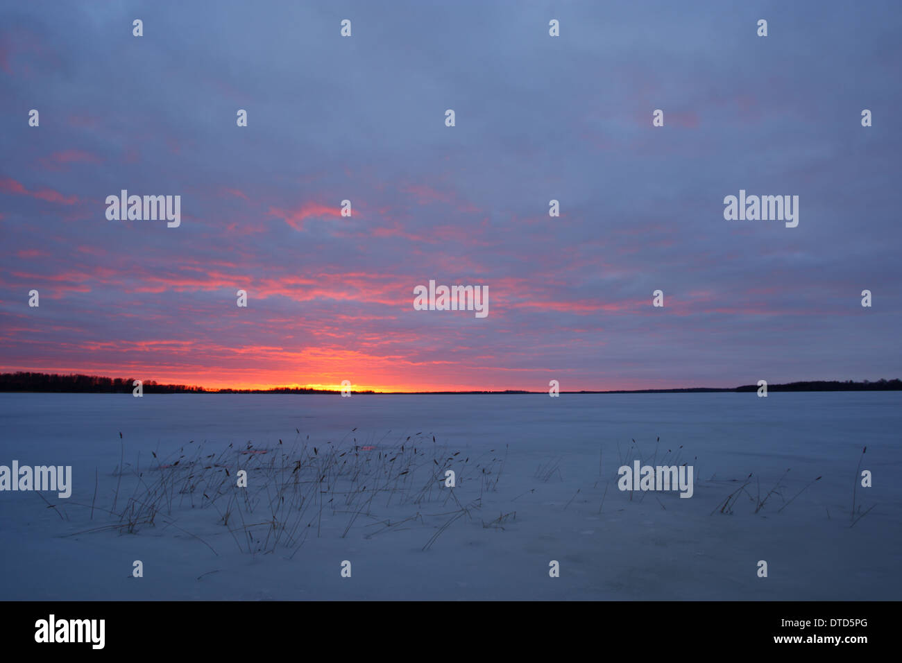 Lake Saadjärv en hiver au coucher du soleil. L'Estonie, Europe Banque D'Images