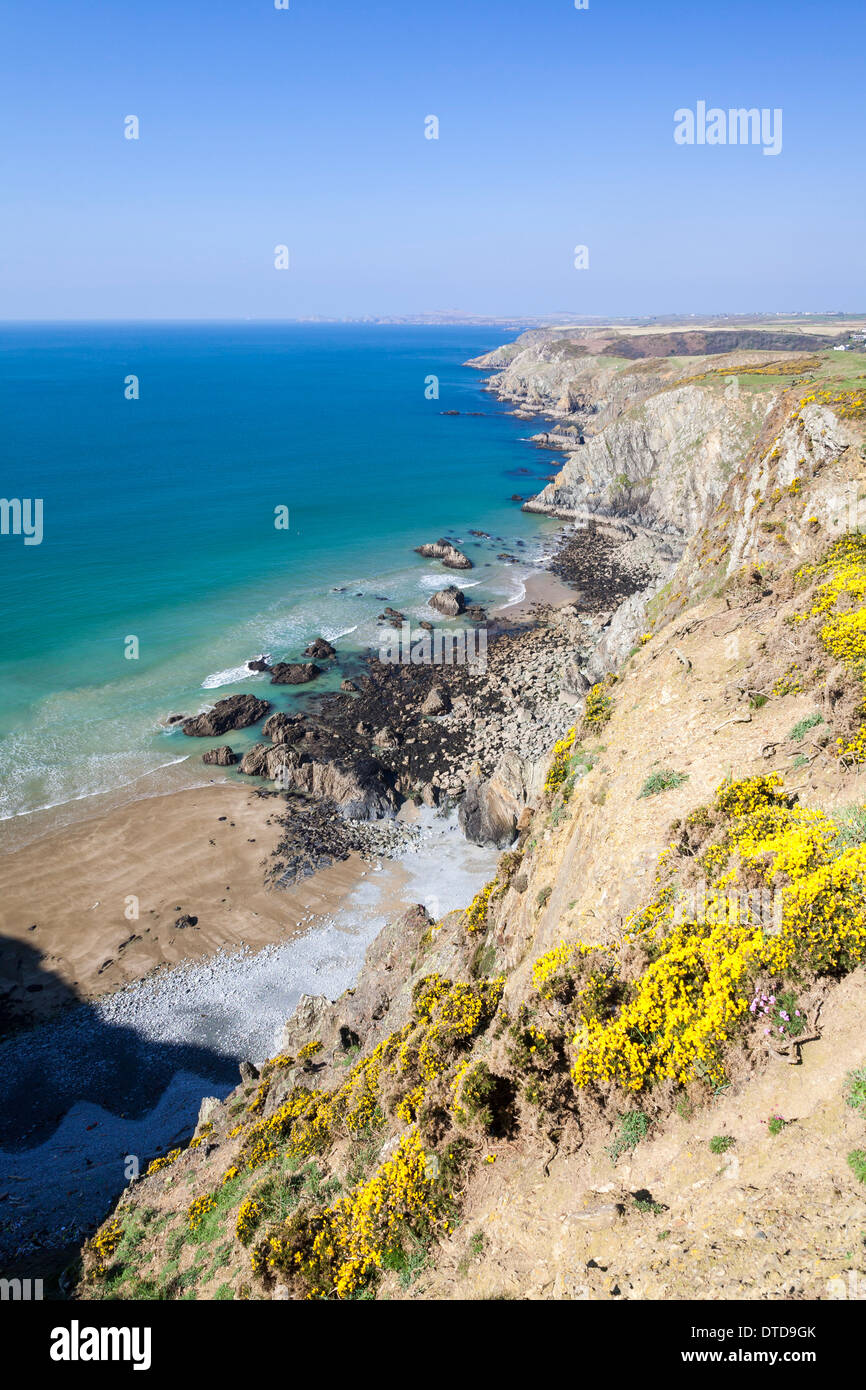 La côte près de Pembrokeshire Wales UK Solva Banque D'Images