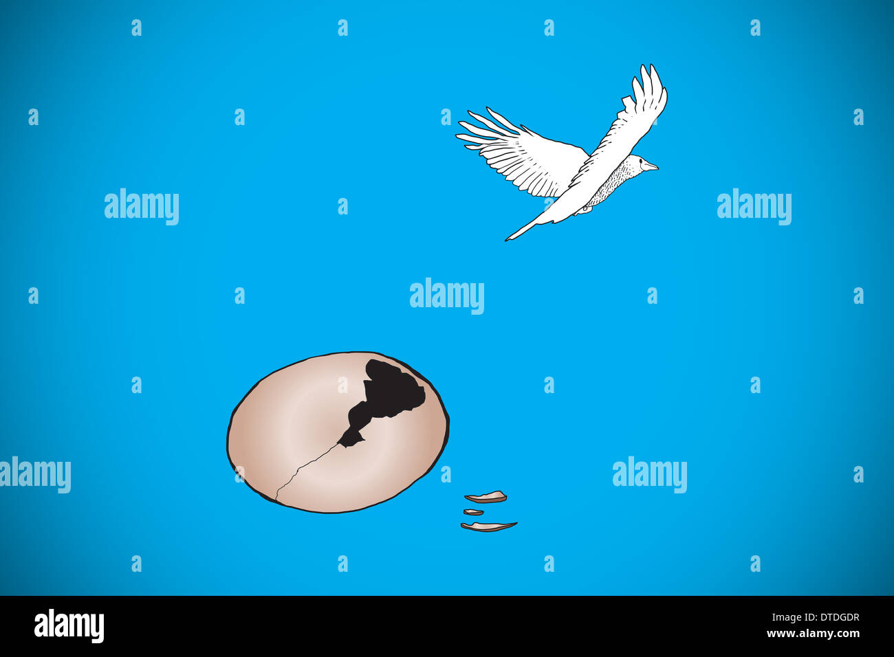 Image composite de l'éclosion d'un oeuf d'oiseau Banque D'Images