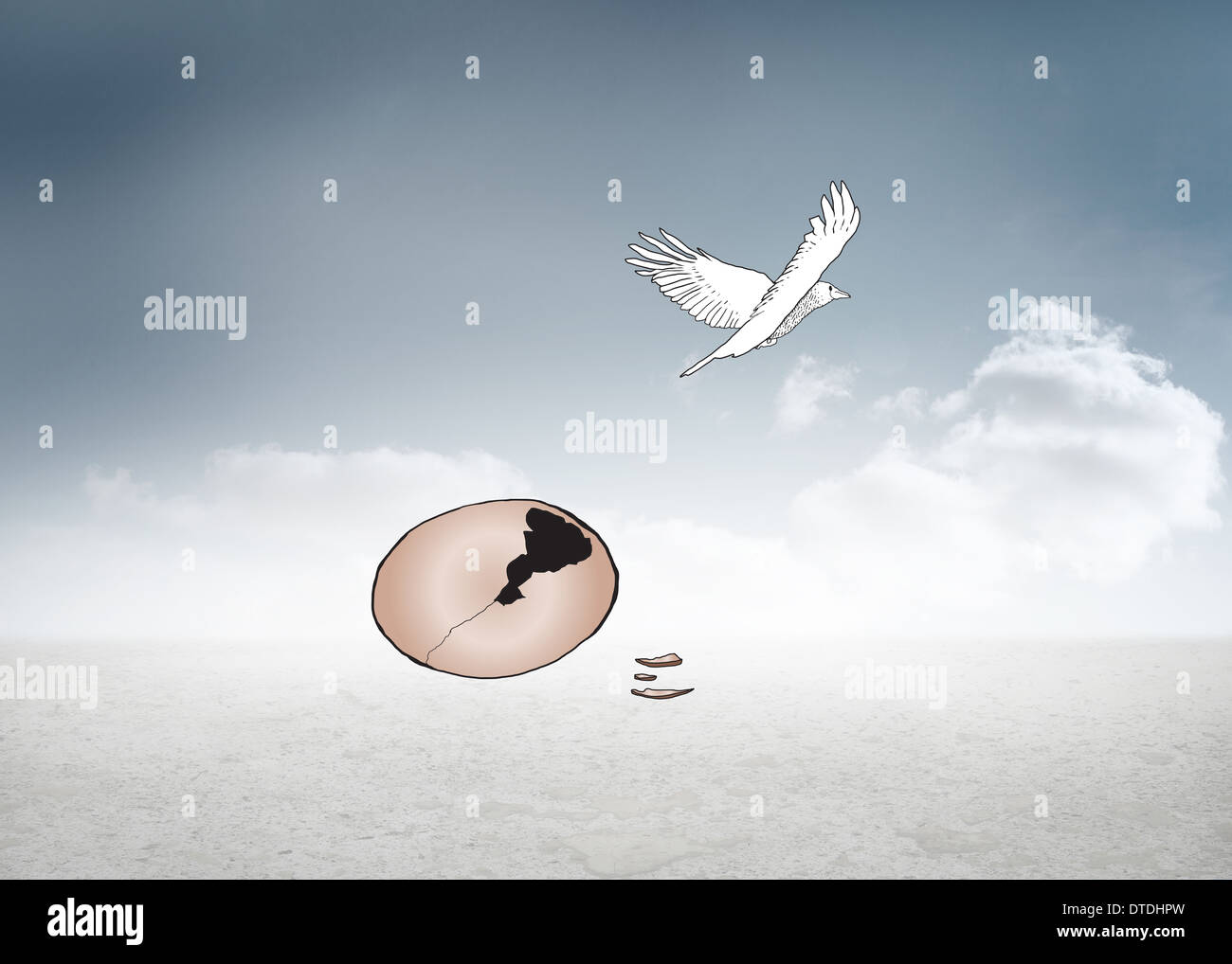 Image composite de l'éclosion d'un oeuf d'oiseau Banque D'Images