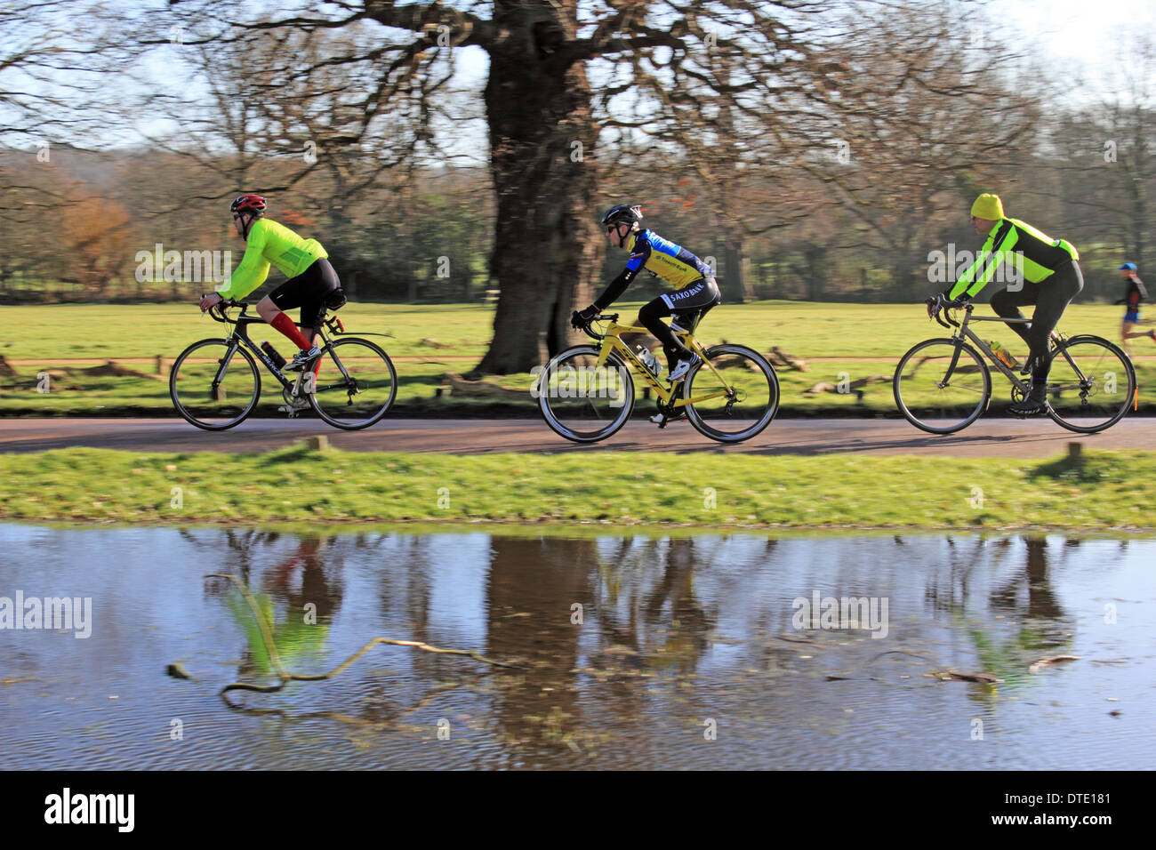 Richmond Park, London, England, UK. 16 février 2014. Enfin le soleil brillait à travers une grande partie du Royaume-Uni aujourd'hui et les températures ont atteint un doux 10 degrés celsius. Le beau temps fait sortir des centaines de cyclistes à Richmond Park, un endroit populaire pour les Londoniens à enfourcher leur bicyclette. Le parc est inondé dans les lieux après que toutes les fortes pluies. Banque D'Images