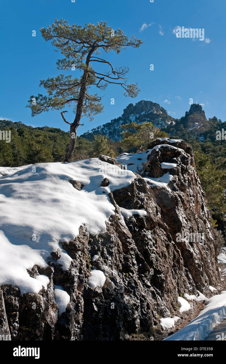 Paysage de neige, Parc Naturel des Sierras de Cazorla, Segura y Las Villas Jaen-province, région d'Andalousie, Espagne, Europe, Banque D'Images