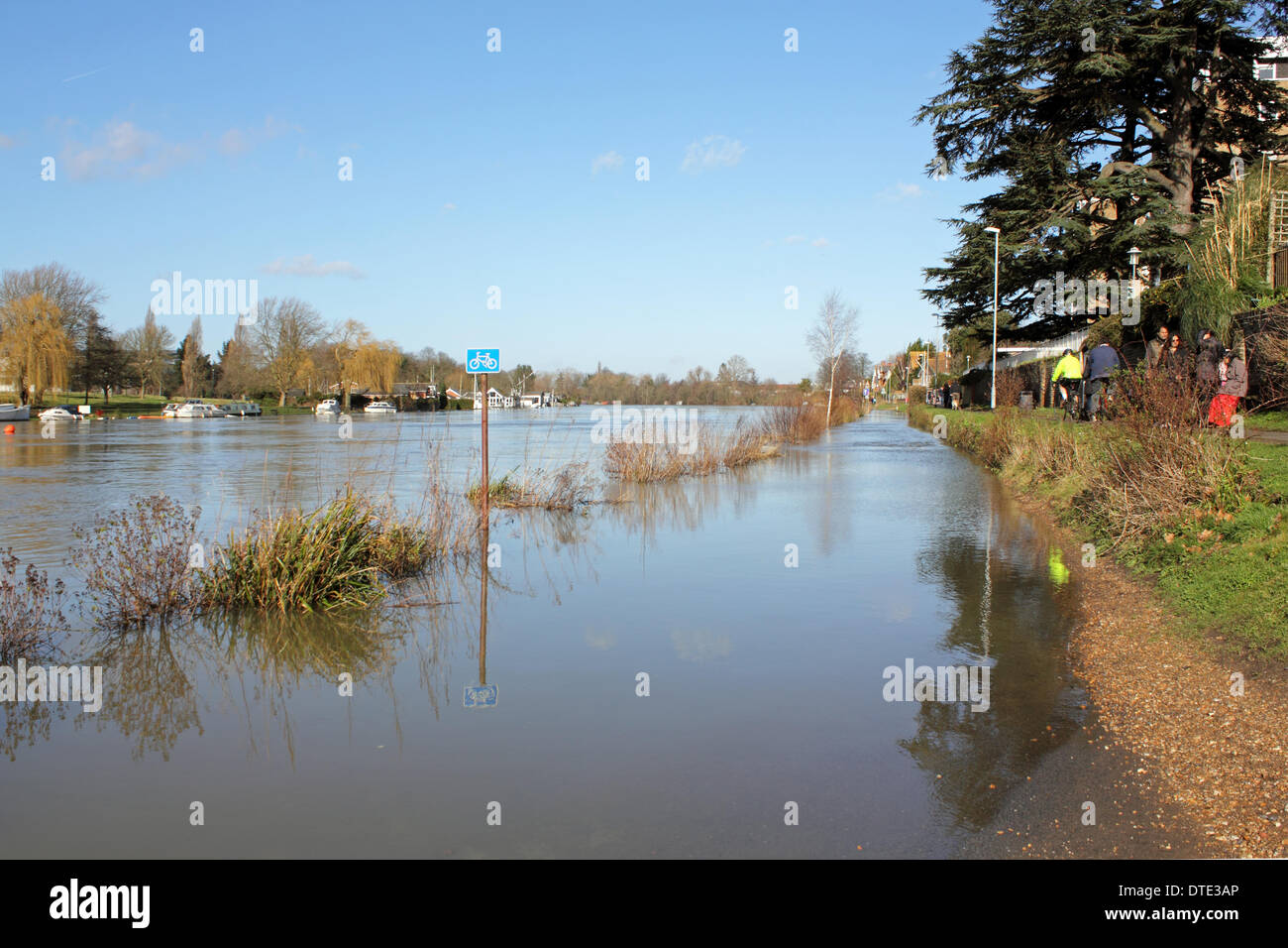 Kingston-uopn-Thames, Angleterre, Royaume-Uni. 16 février 2014. Cette rive de la Tamise à basse Ham route est encore en crue et la route a été fermée pour une semaine. La piste cyclable est sous plusieurs mètres d'eau. Credit : Julia Gavin/Alamy Live News Banque D'Images