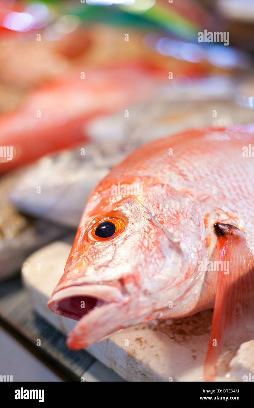 Lapu-lapu, le vivaneau et le thon, fruits de mer sur le marché asiatique Banque D'Images