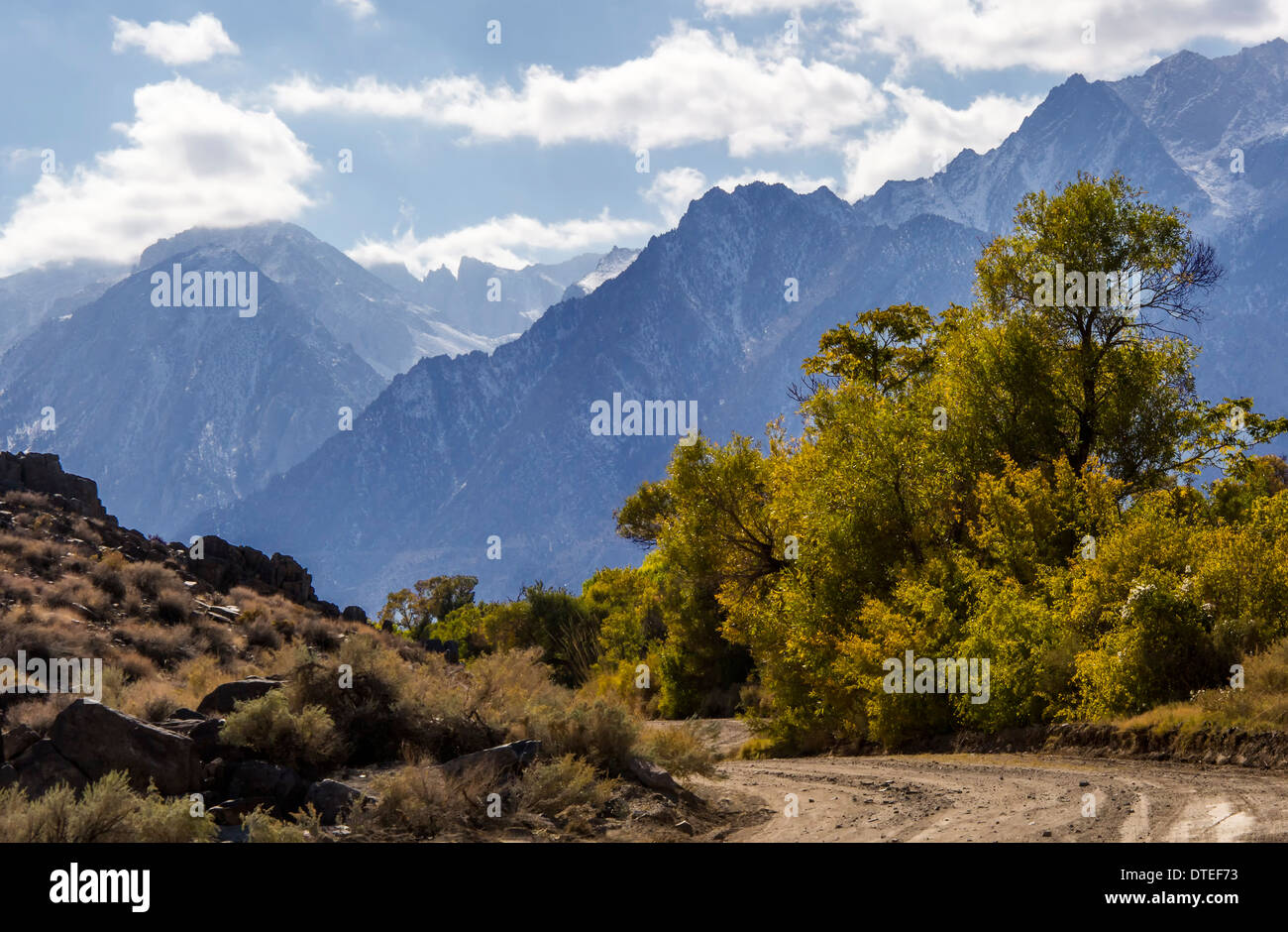 Couleurs d'automne sur la route de terre près du Mont Whitney, Californie Banque D'Images