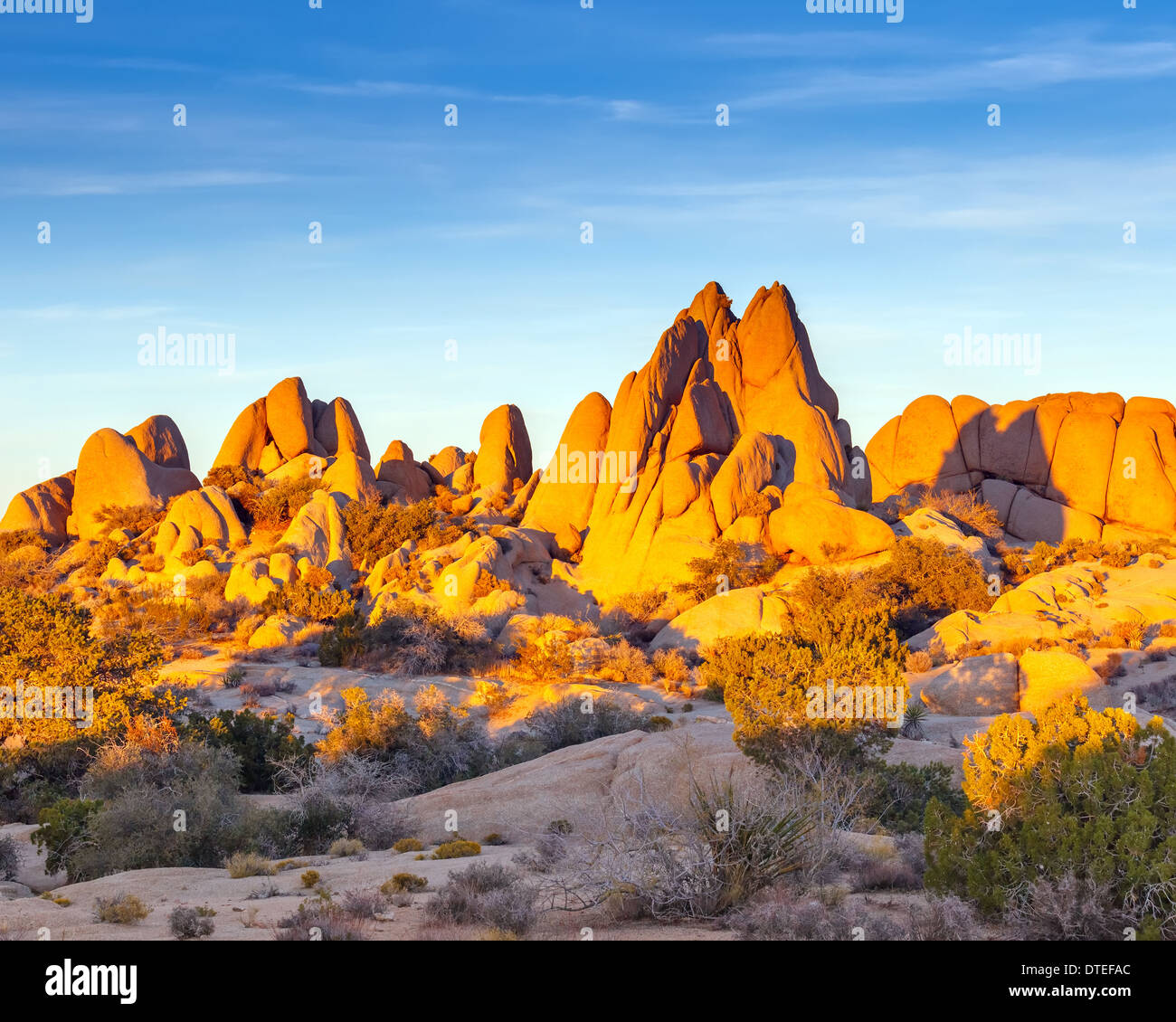 Les roches dans Joshua Tree National Park Banque D'Images