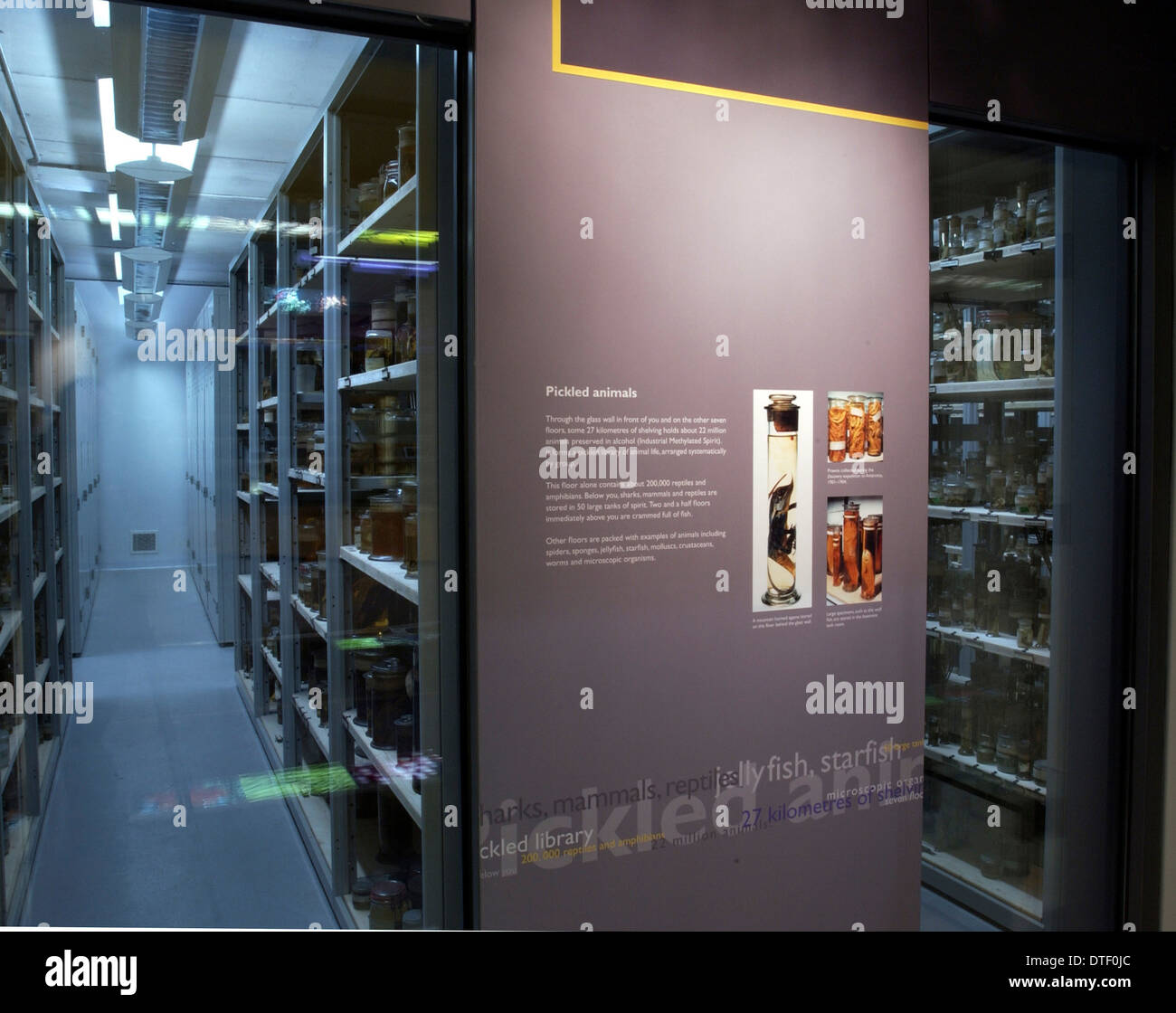 Panneau d'exposition sur l'affichage dans le centre de Darwin Banque D'Images