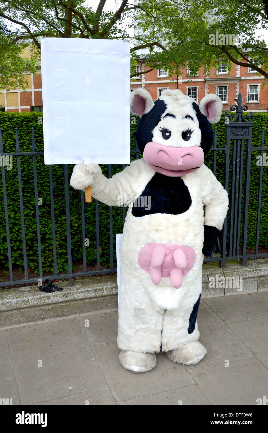Personne en costume vache holding a blank banner [texte supprimé] Banque D'Images