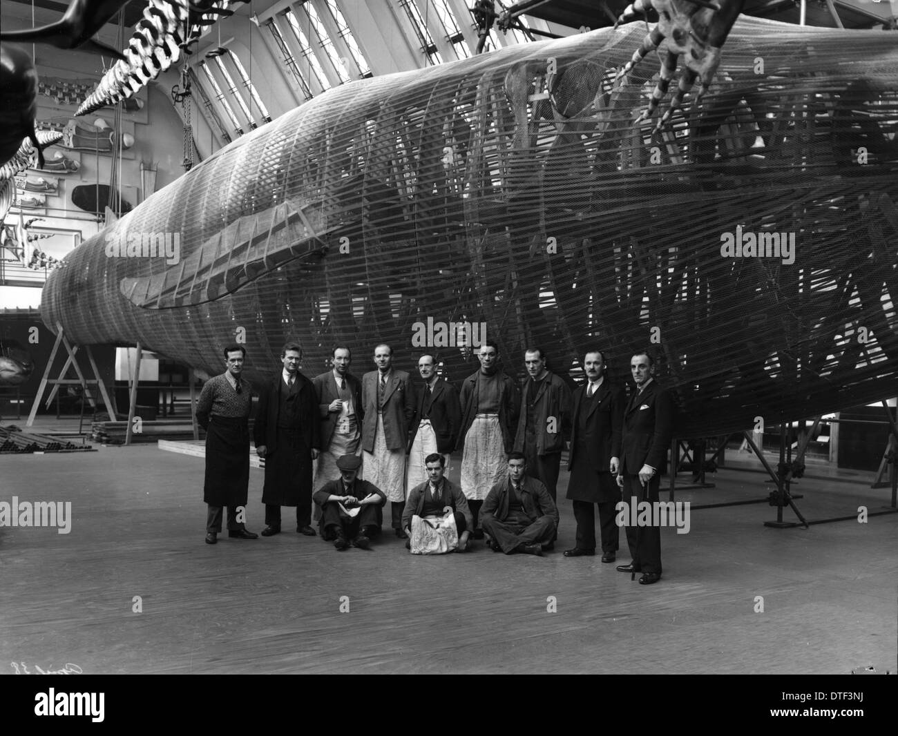 Posant avec le personnel du rorqual bleu, modèle 1938 Banque D'Images
