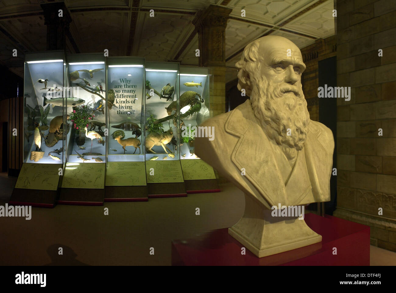 Origine des Espèces Banque D'Images