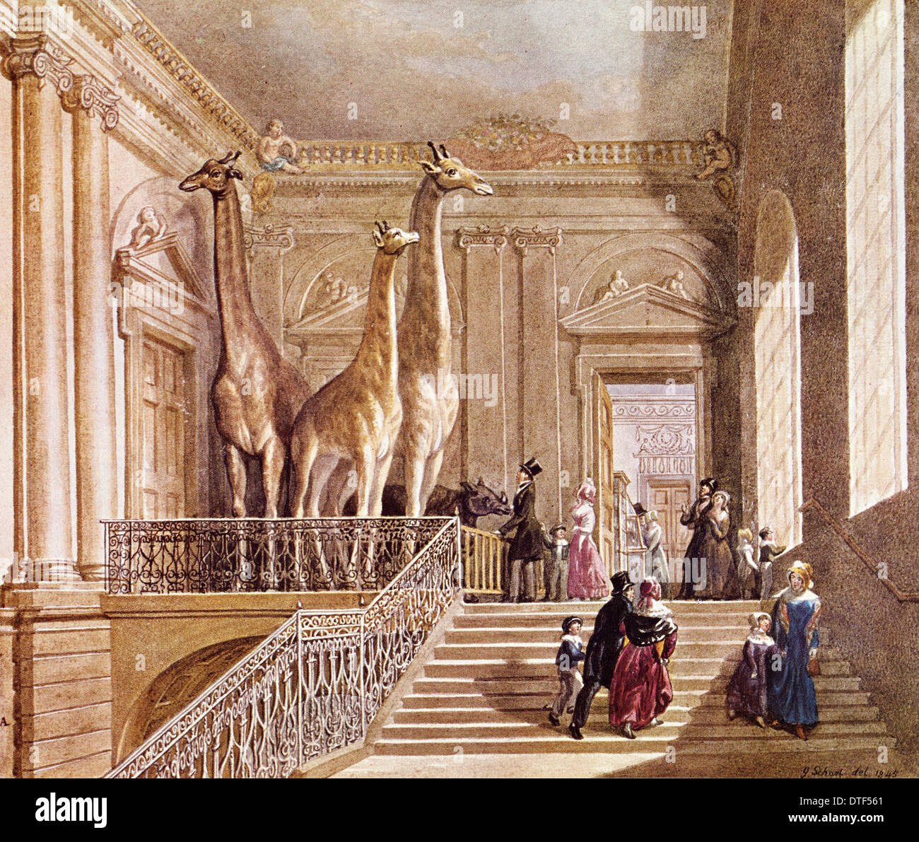 Histoire naturelle de l'affichage à Montagu House Banque D'Images