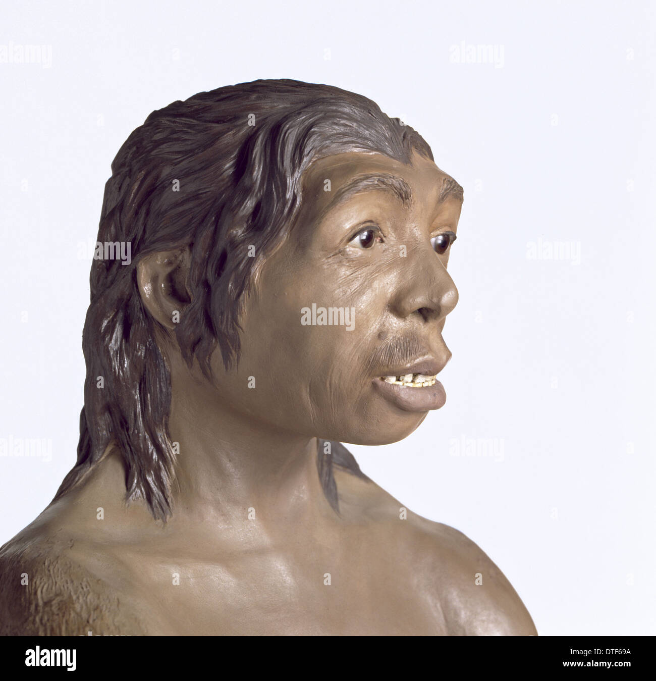 Neanderthal female Banque d'image et photos - Alamy