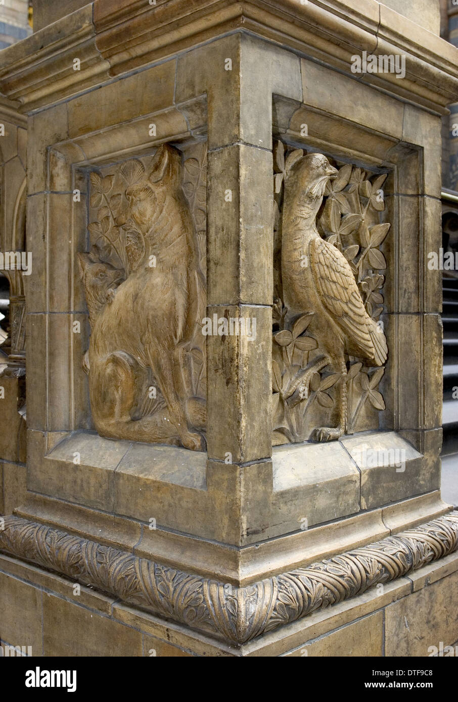 Relief en terre cuite au Natural History Museum, Londres Banque D'Images