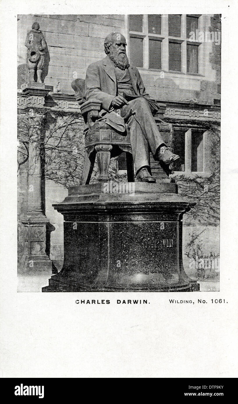 Charles Robert Darwin (1809-1882) Banque D'Images