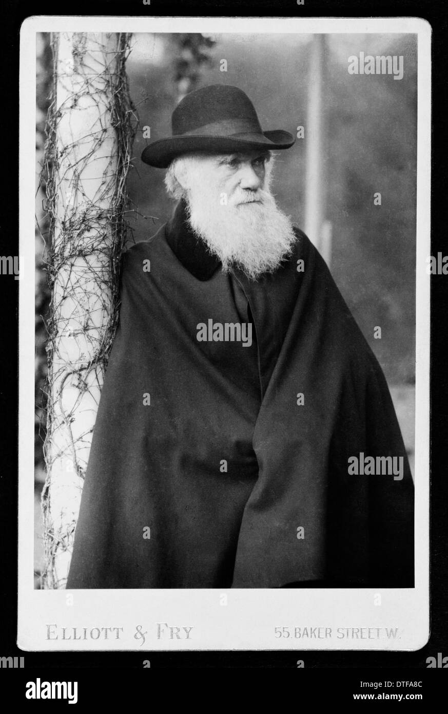 Charles Robert Darwin (1809-1882) Banque D'Images