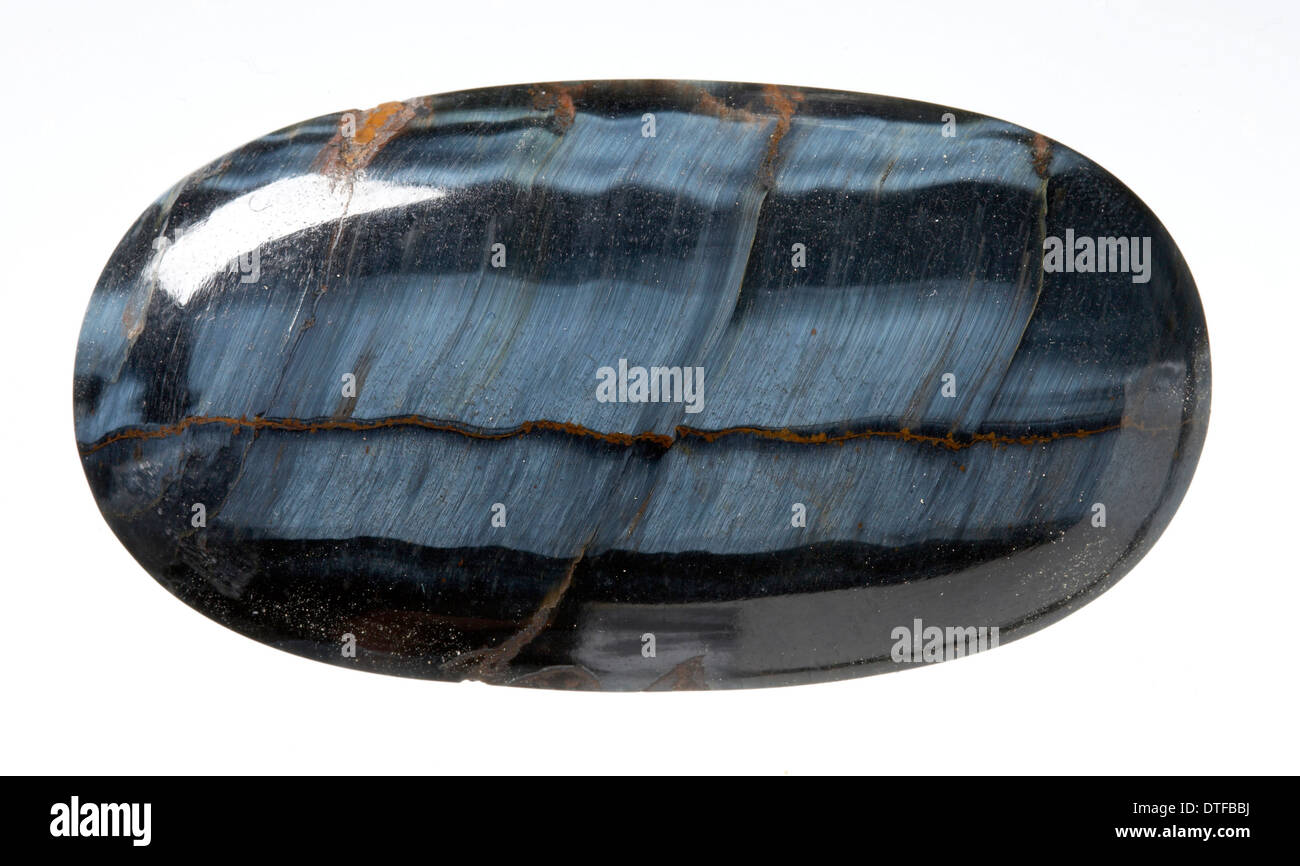 Oeil de faucon Banque D'Images