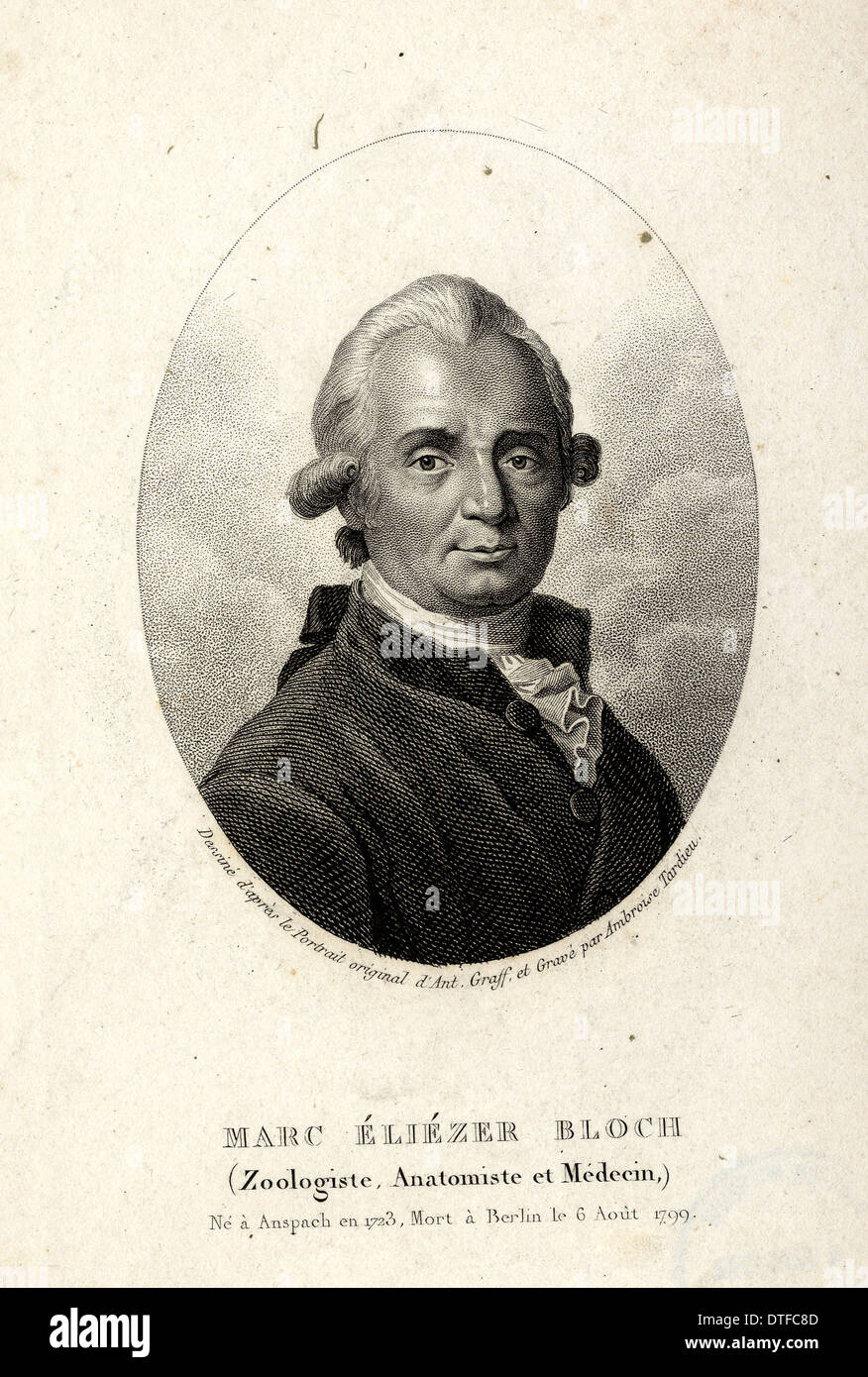 Eliezer Marc Bloch (1723-1799) Banque D'Images