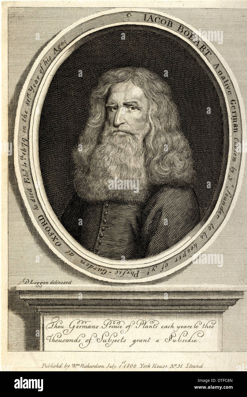 Jacob Bobart (1599-1680) Banque D'Images