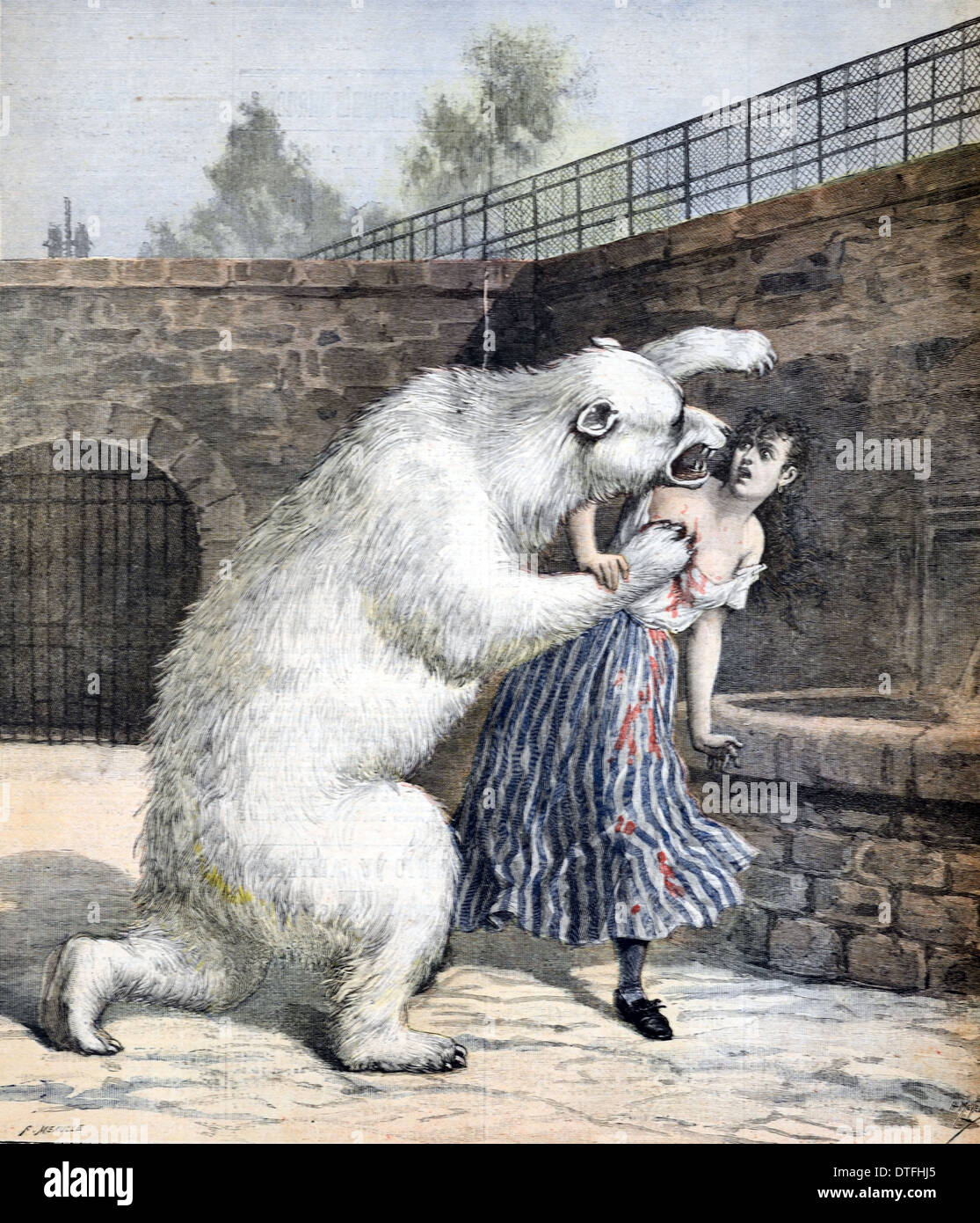 Femme Suicide attaqué par l'ours polaire zoo de Francfort Allemagne 1891 Banque D'Images