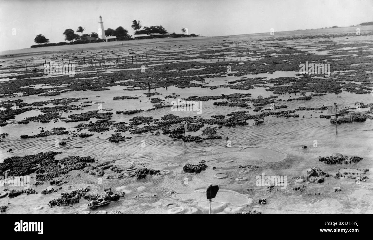 Photographie de platier avec phare en arrière-plan. Banque D'Images