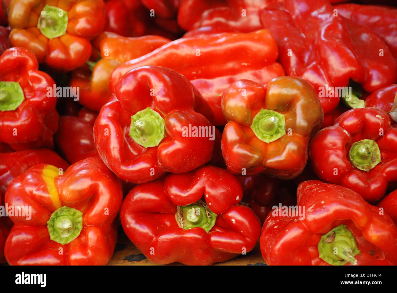 Poivrons rouges doux empilés et prêts à la vente et vus en gros et ensoleillé Banque D'Images