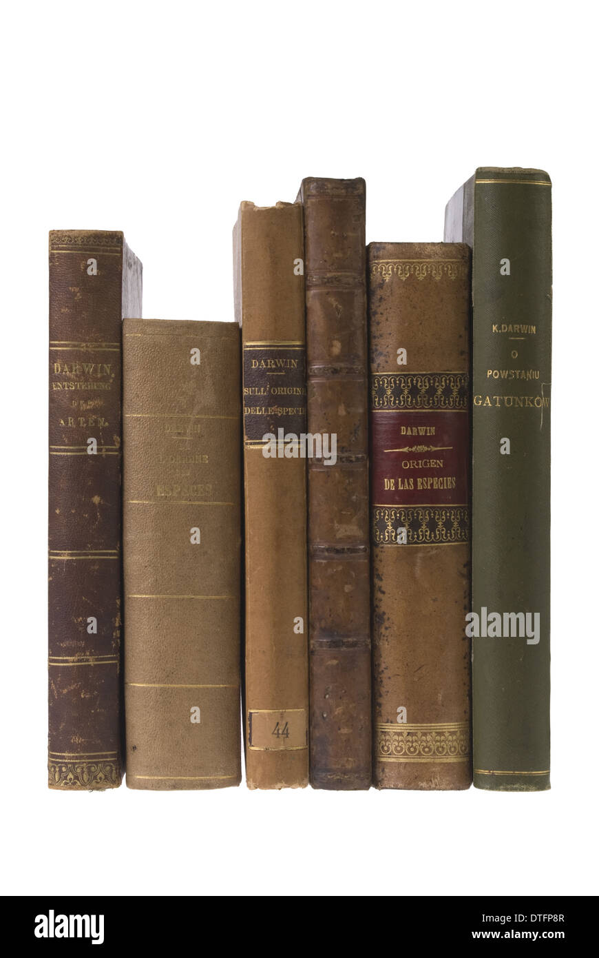 L'origine des espèces Banque D'Images