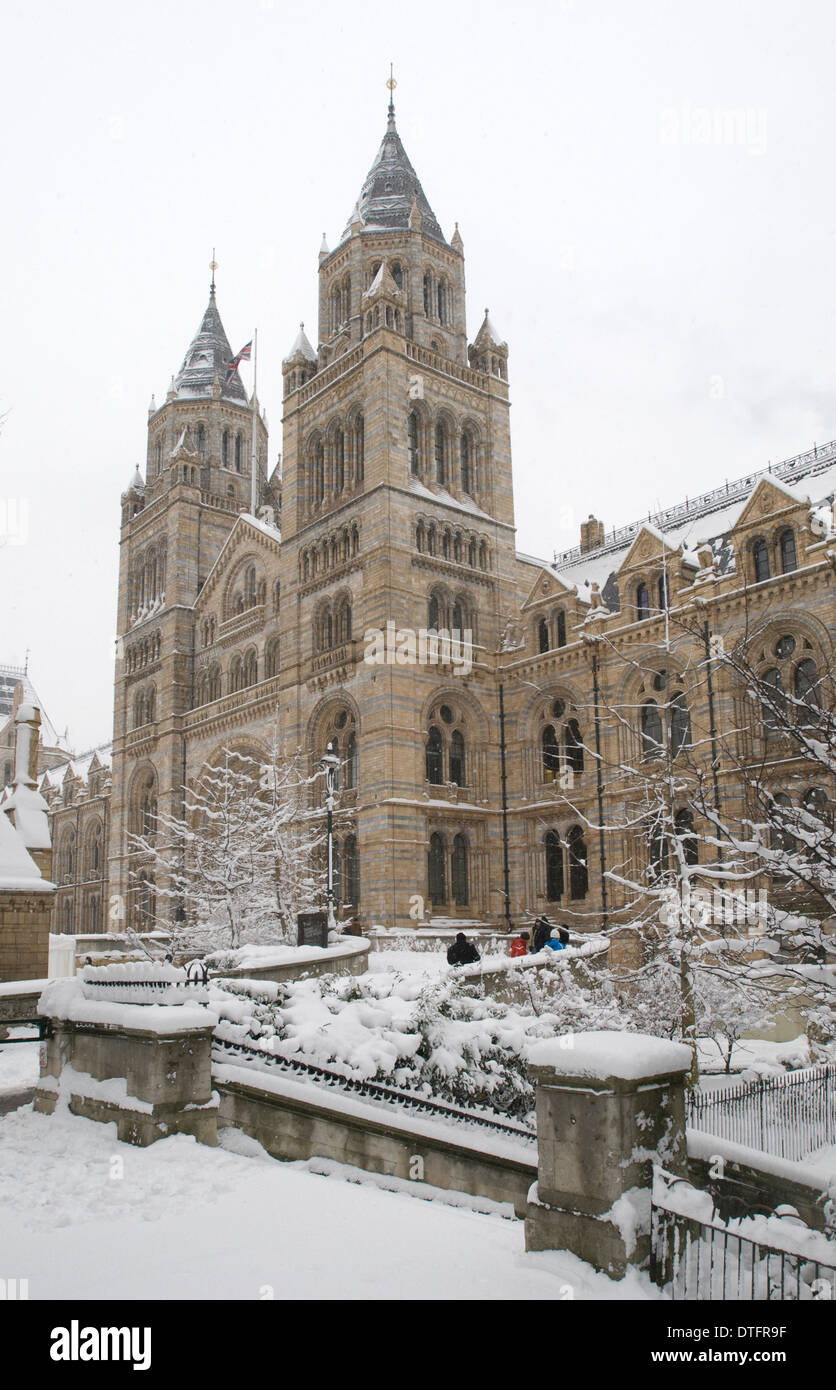 Le Natural History Museum, Londres Banque D'Images