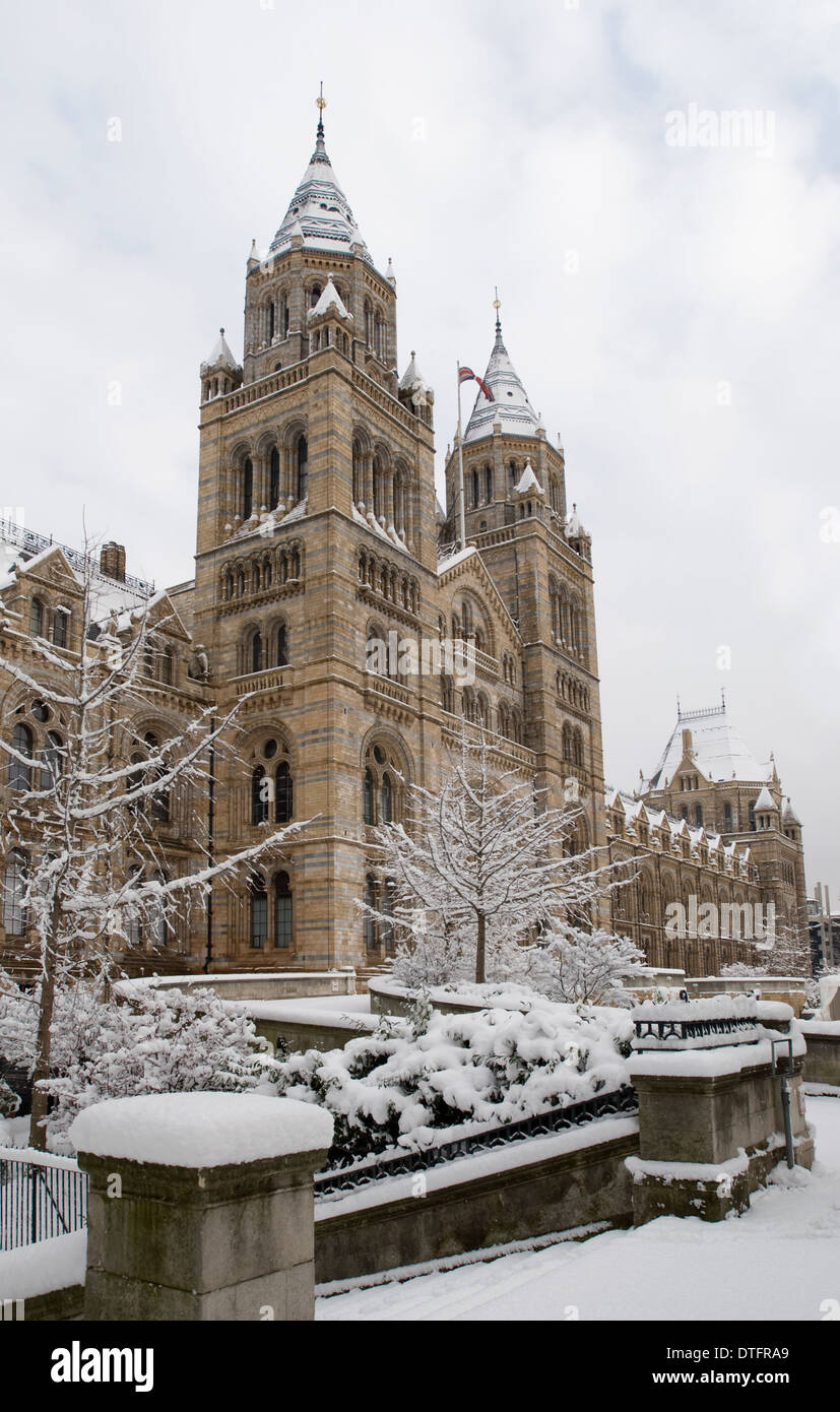 Le Natural History Museum, Londres Banque D'Images